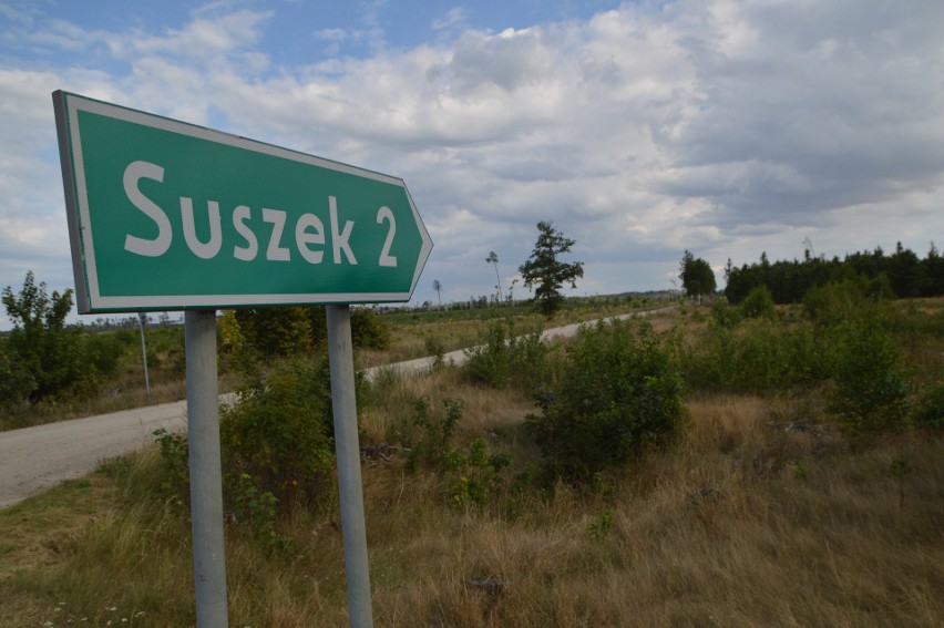 Suszek - las po nawałnicy, rok 2022