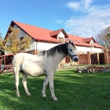 Gospodarstwa agroturystyczne w Lubuskiem. Te zostały uznane za najpiękniejsze. Warto tu przyjechać - nie tylko w sezonie wakacyjnym!