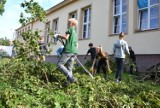 Nawałnica na Pomorzu: Harcerze pomagają w sprzątaniu w Rytlu [ZDJĘCIA, WIDEO]