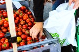 Produkcja żywności w Polsce to nie tylko zboża. Ile warzyw i owoców zbieramy z krajowych upraw? Samowystarczalność jest w cenie