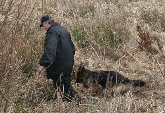 Pies tropiący wprowadził policjantów w kompleks leśny w okolicach Huty Komorowskiej.