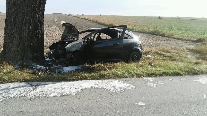 Poranna tragedia w Marianowie. Samochód wypadł z drogi i stanął w płomieniach. Zginął kierowca