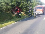 Tragiczny wypadek pod Kołobrzegiem - bus uderzył w drzewo, 4 osoby nie żyją [ZDJĘCIA] 