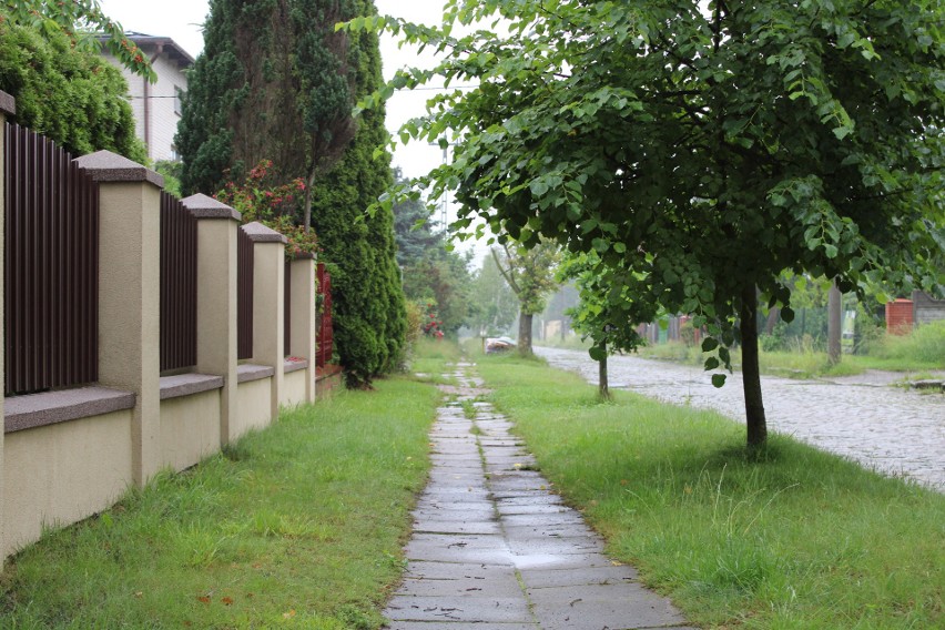 - Wykonawca po uzyskaniu zgody na tymczasową organizację...