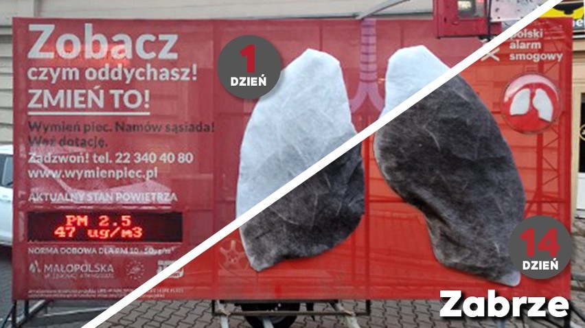 Jak zanieczyszczone jest powietrze na Śląsku? Mobilne płuca pokażą