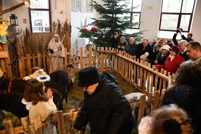 Żywe szopki w radomskich parafiach cieszyły się ogromnym zainteresowaniem.