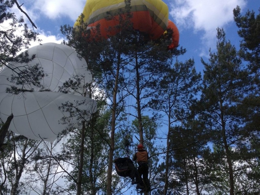 Paralotniarz spadł na drzewo w Kiełpiu. Zatrzymał się na wysokości 8 m nad ziemią! [zdjęcia]