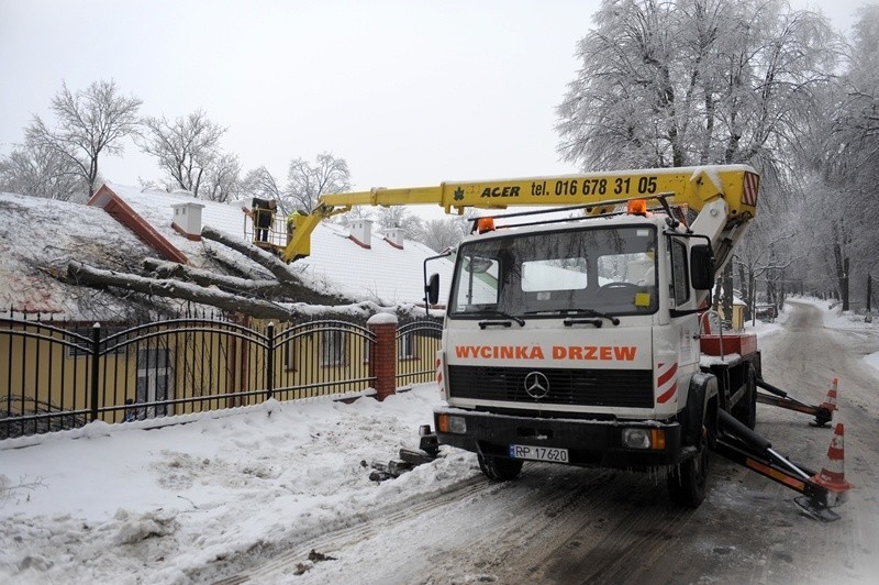 Spróchniałe drzewo stojące tuż za ogrodzeniem DPS-u przy ul....