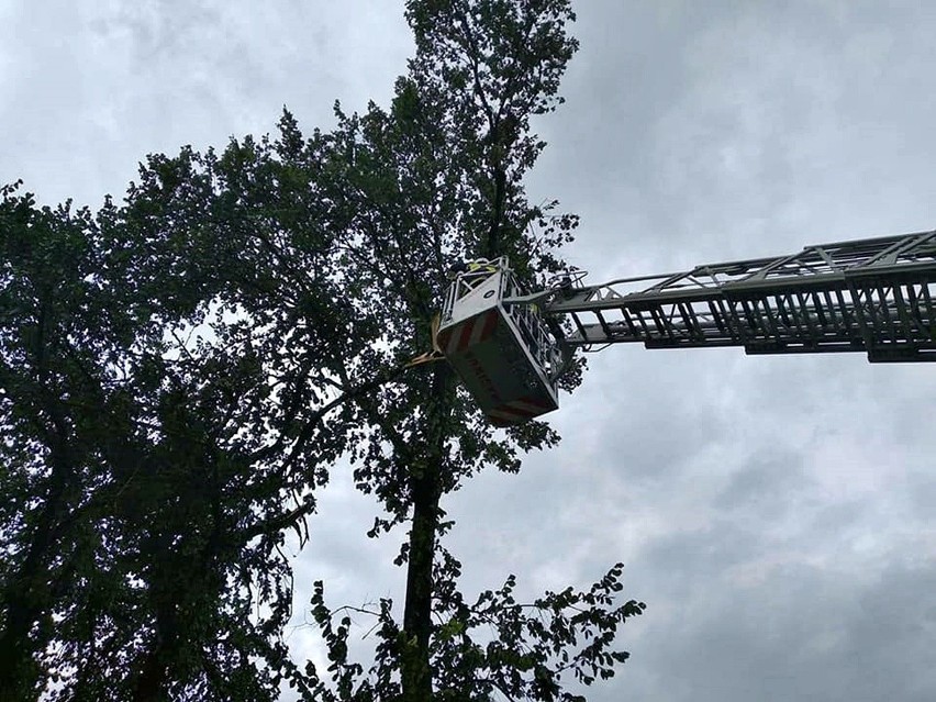 Powiat puławski. Pozrywane linie energetyczne i połamane drzewa. Nad Kośminem przeszła gwałtowna burza