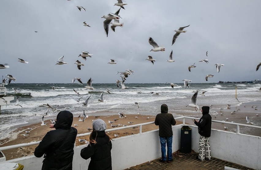 Wichura na Pomorzu. Plaża w Brzeźnie