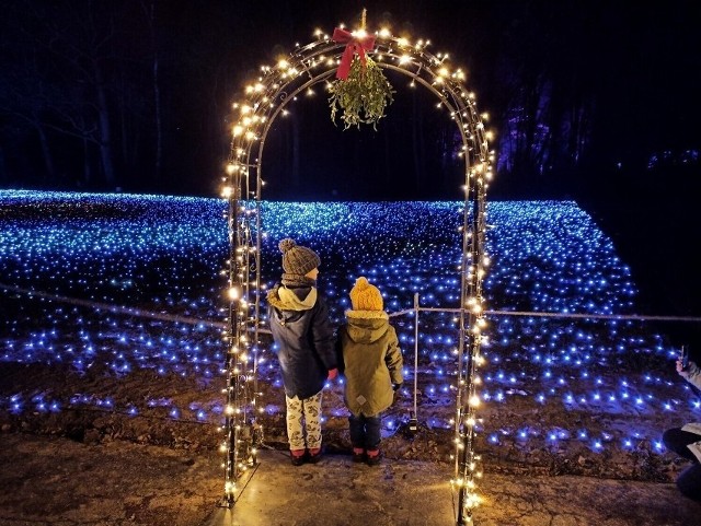 Można też przyjechać tu nieco później, aby zobaczyć ogród świateł Christmas Garden w Chorzowie. Sezonowa atrakcja również znajduje się w zoo, jednak dostępna jest dla gości godzinę po zamknięciu ogrodu.25.12-26.12 - 17.00-21.00