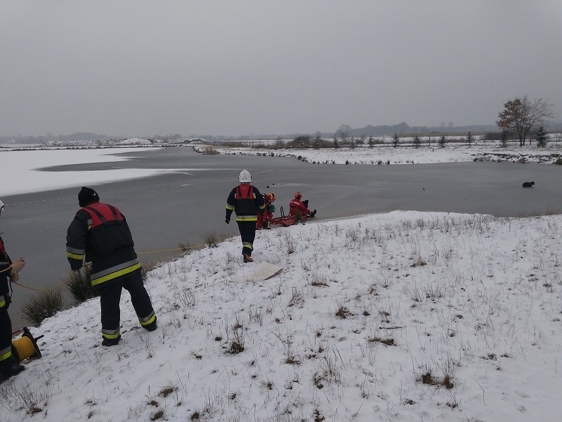 Strażacy ratowali uwięzione na lodzie barany, 10 II 2018