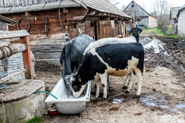 Rolnicy. Podlasie. Kolejny nowy sprzęt u Gienka i Andrzeja