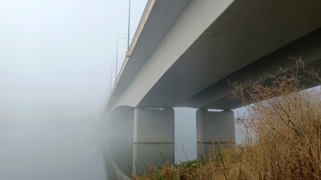 Mgła, zdjęcie ilustracyjne