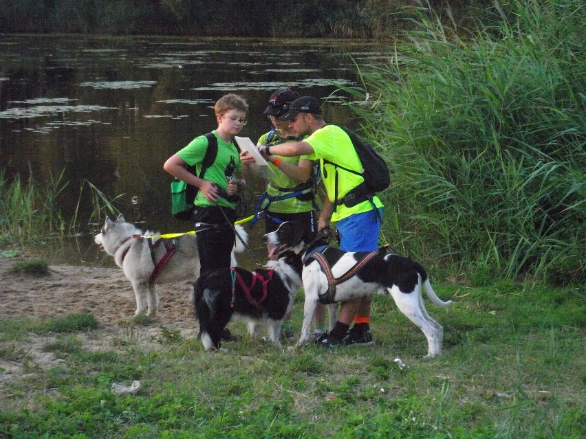 Nocny Puchar Polski w Dogtrekkingu odbył się w Kaletach