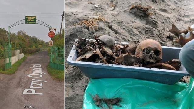 Kości odnaleziono na ogrodach działkowych na Pomorzanach. Zdjęcie ilustracyjne
