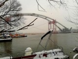 Już wiemy: nowy most w Toruniu nie szkodzi środowisku