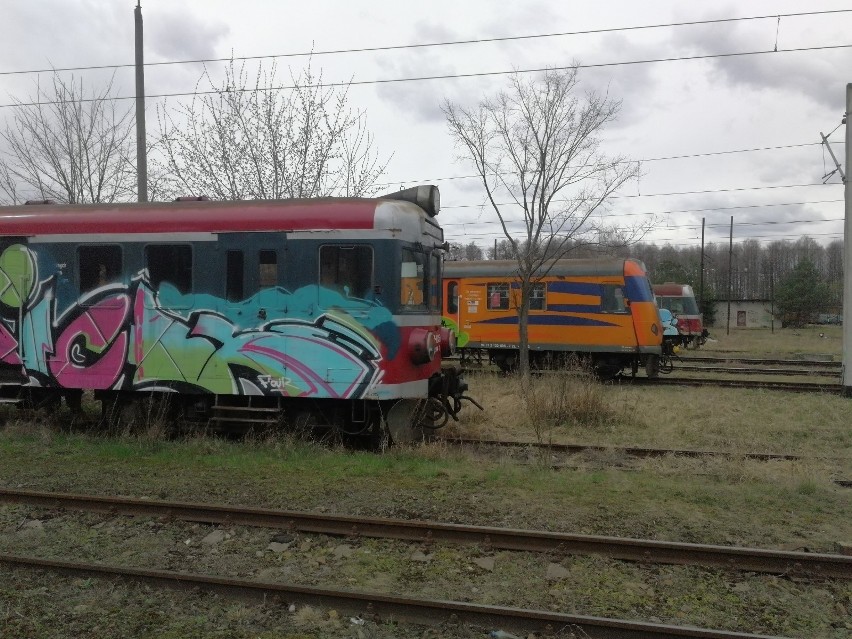 Między Toruniem Wschodnim a Kluczykami. Widok z okna pociągu