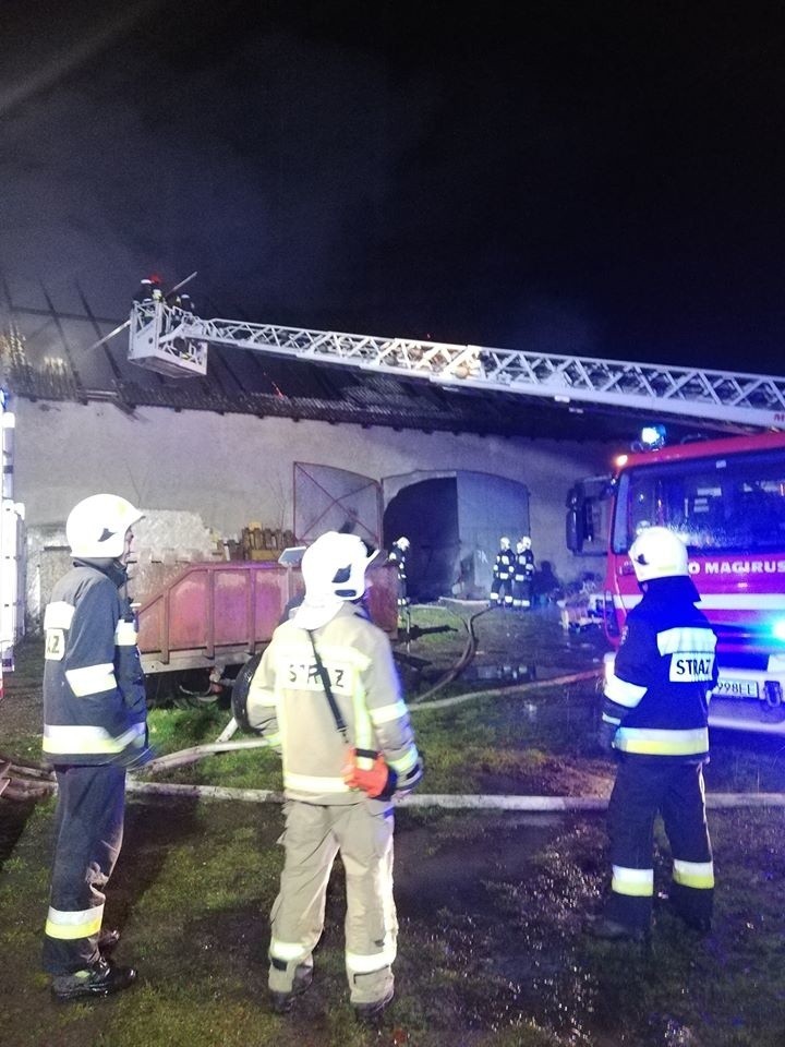 Pożar pod Wrocławiem. Cztery godziny walki z ogniem (ZDJĘCIA)