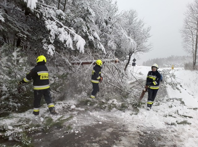 W całym regionie jest biało, bez przerwy pada śnieg z deszczem. Strażacy usuwali m.in. połamane drzewa w Żurowej
