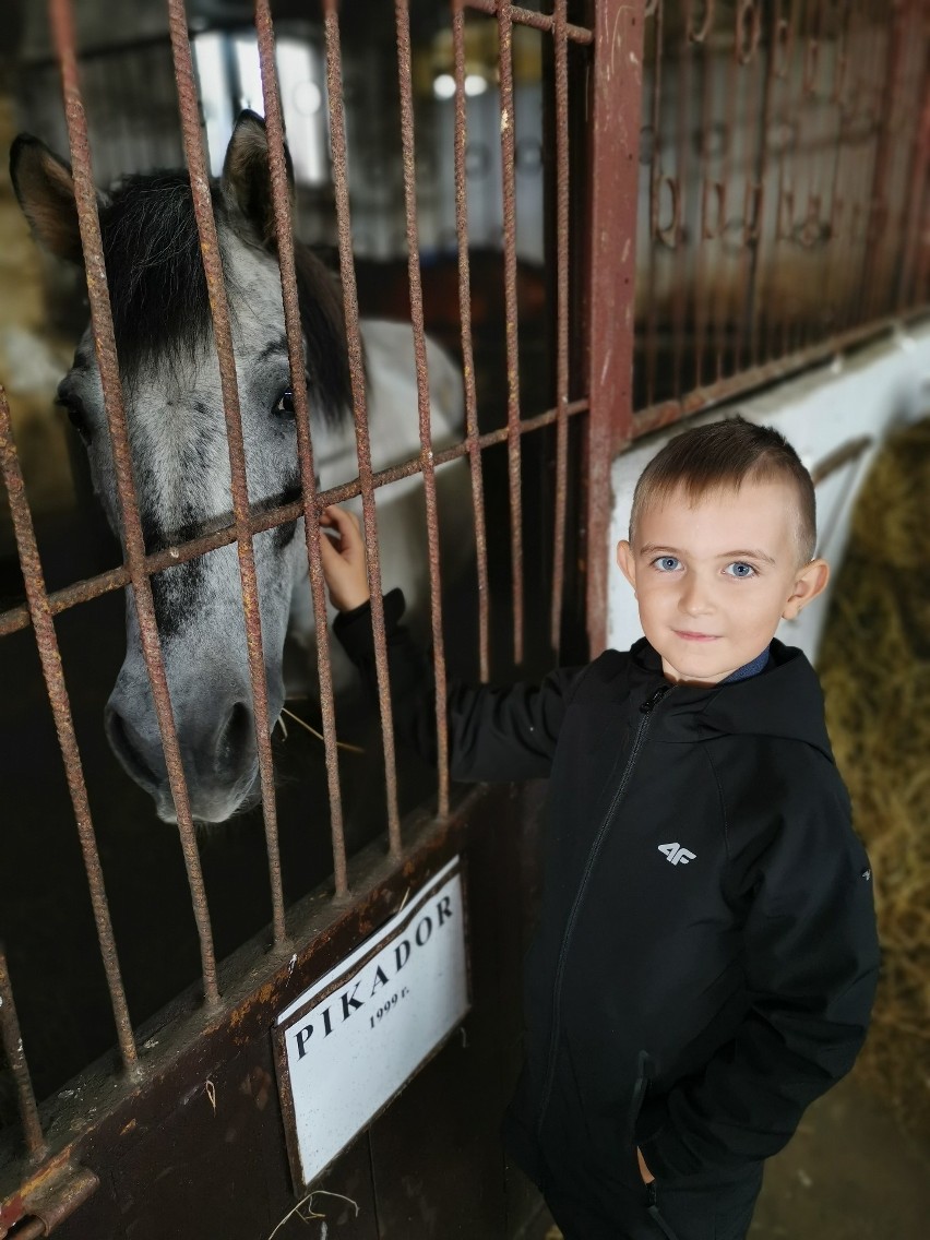 Świąteczne Gwiazdeczki 2019. Galeria chłopców! cz. 4