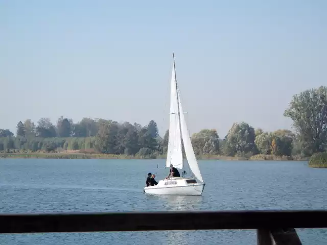 Żaglówka na Jeziorze Chełmżyńskim w pobliżu plaży Zalesie