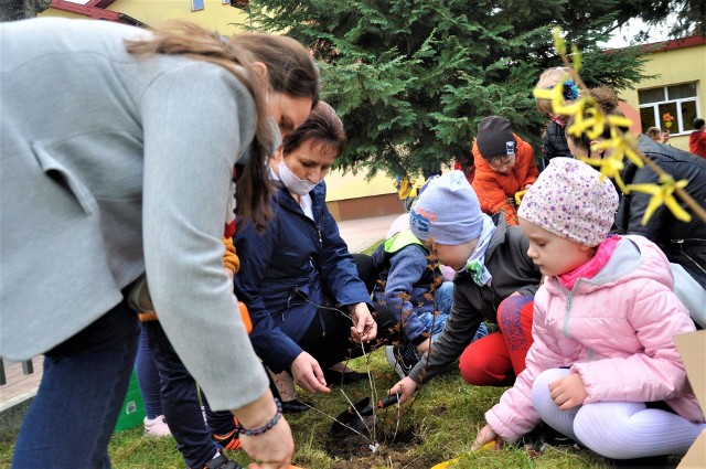 Dzieci z Przedszkola Publicznego w Połańcu wraz  Filią nr 1 i Filią nr 2 przystąpiły do konkursu plastycznego pt. „Poszukiwacze wiosny”, którego organizatorem był Zespół Świętokrzyskich i Nadnidziańskich Parków Krajobrazowych w Kielcach.