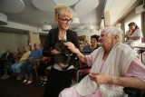 Seniorom z katowickiej Kostuchny w terapii pomagają cztery sympatyczne króliki