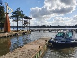 Dostali 500 zł mandatu za piknik nad Zalewem Koronowskim [zdjęcia, wideo]