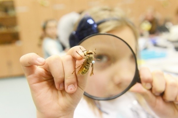 W poprzednich latach Noce biologów oznaczały bezpośrednie spotkania mieszkańców regionu z naukowcami i studentami Uniwersytetu Zielonogórskiego