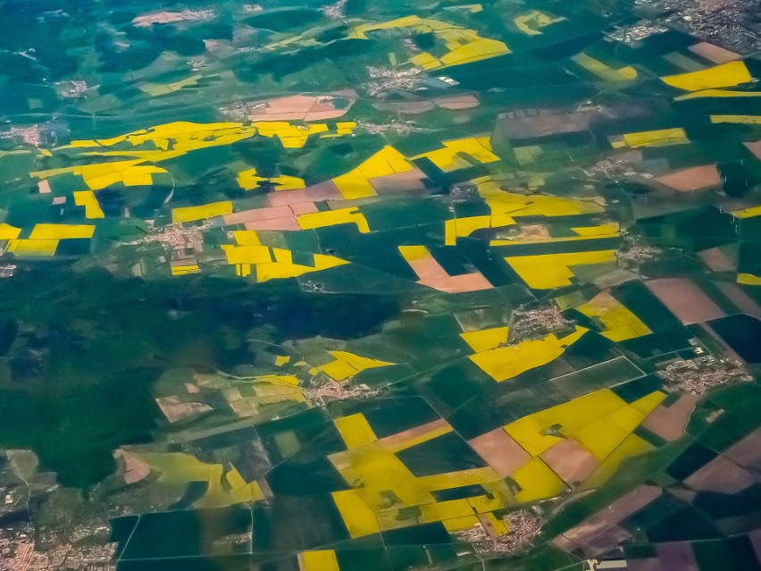 Według oceny rzeczoznawców wojewódzkich GUS, w całej Polsce...