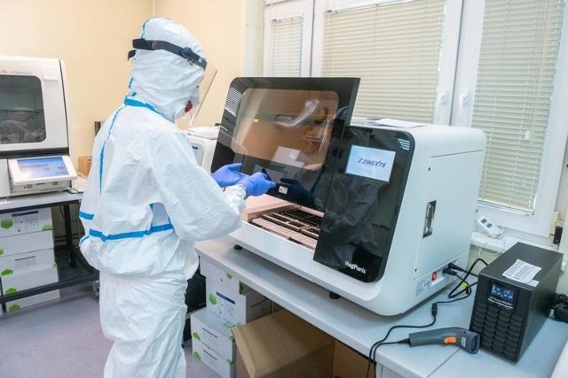 Angielscy badacze wykryli w próbkach krwi pobranej przed pandemią przeciwciała, które reagują na Sars-CoV-2.