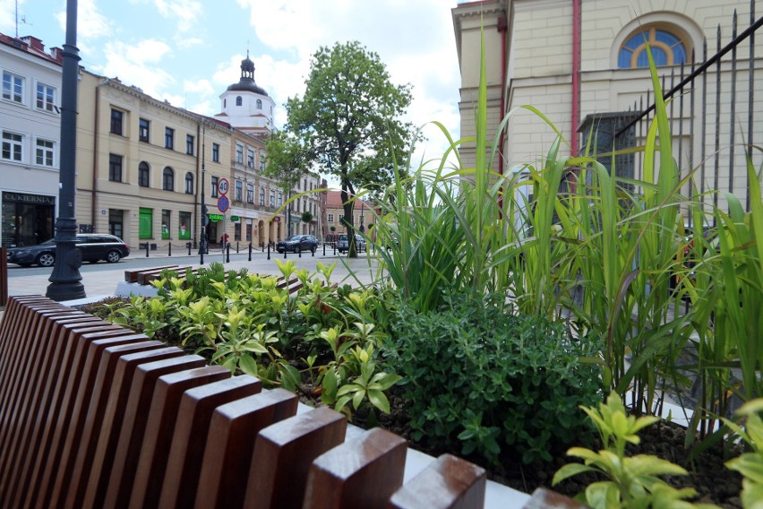 Kwiaty ozdobią ścisłe centrum Lublina. A jak teraz wygląda ukwiecony Lublin?     