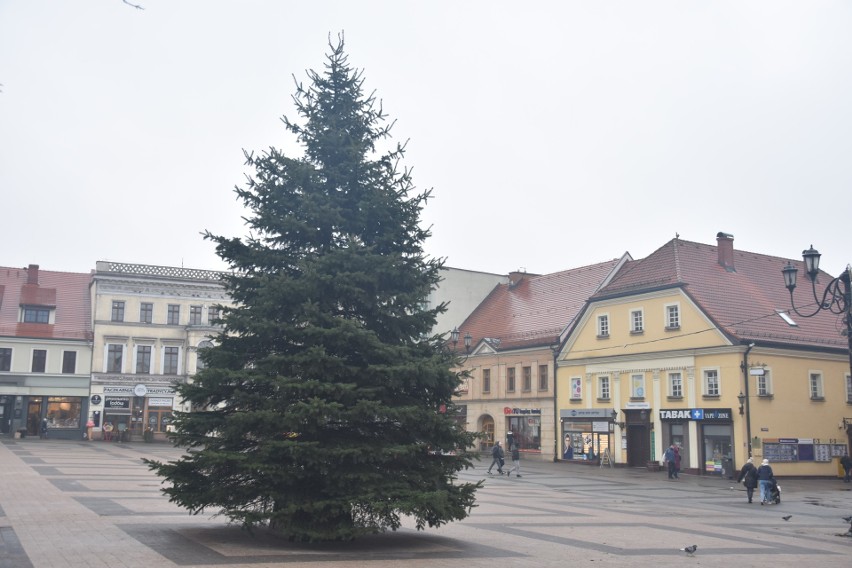 Rybnik ma już swoją choinkę na święta. Zobacz kolejne...