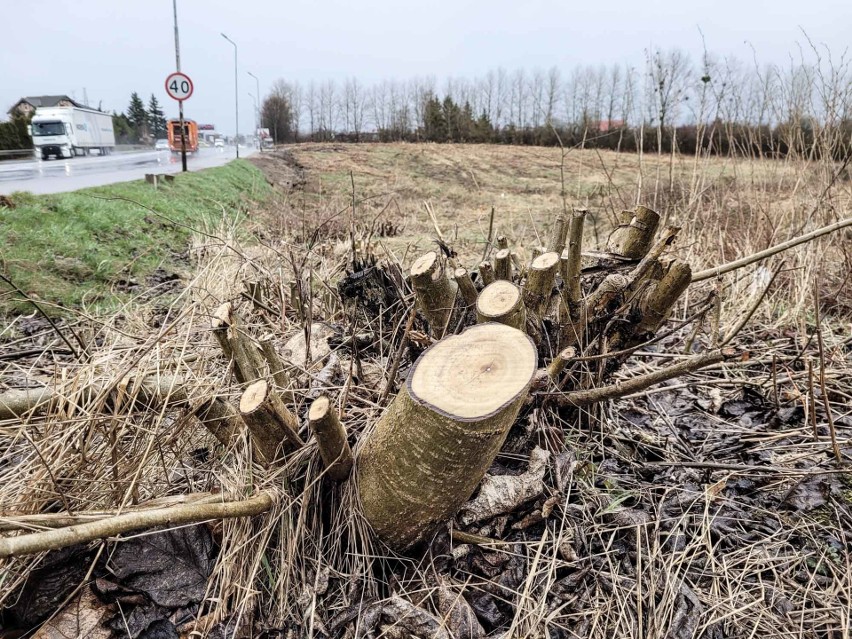 Ponad 100 nowych miejsc pracy w nowym obiekcie handlowym przy ul. Szczecińskiej w Kobylnicy. Wkrótce ruszy budowa