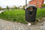 Ze wzrostem temperatur rośnie bałagan przy koszach. Jak wygląda harmonogram odbioru odpadów w centrum Bydgoszczy