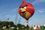 Balon Angry Birds zagościł na krakowskich Błoniach
