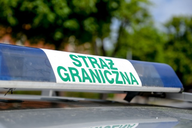 Straż Graniczna zatrzymała kobietę podejrzaną o organizację przerzutu imigrantów przez granicę z Białorusią