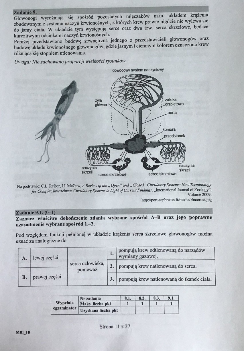 Matura 2018 BIOLOGIA [PODSTAWA, ROZSZERZENIE]. Odpowiedzi i ARKUSZ CKE w serwisie EDUKACJA