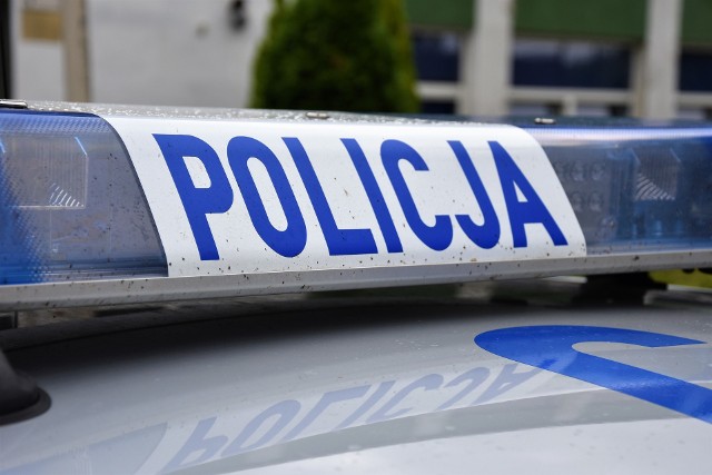 Samochód wypadł z drogi w miejscowości Gnojna pod Grodkowem. Matka i jej 11-letnia córka zabrane do szpitala