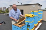 Nowe technologie w pasiece. Pszczelarze kupują sprzęty z unijnymi dotacjami 