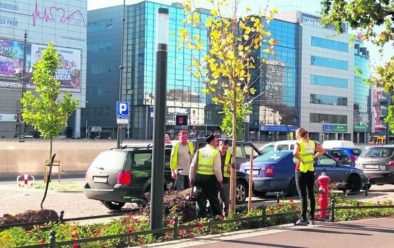 Sadzenie nowych drzew przed Urzędem Marszałkowskim powinno...
