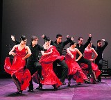 Gdynia: Występ Paco Pena Flamenco Dance Company już w marcu