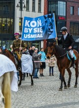 Konna manifestacja w obronie państwowych stadnin koni czystej krwi arabskiej