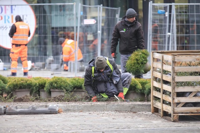 O Zielonym Czerwonaku będą rozmawiać uczestnicy Czerwonackiego Panelu Obywatelskiego.