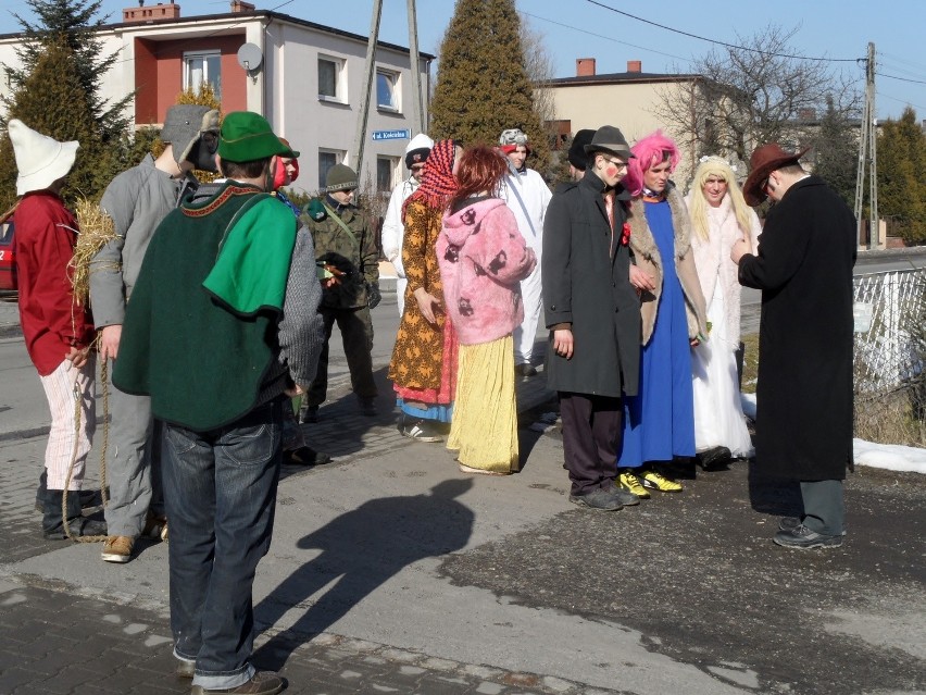 Wodzenie Niedźwiedzia w Babienicy