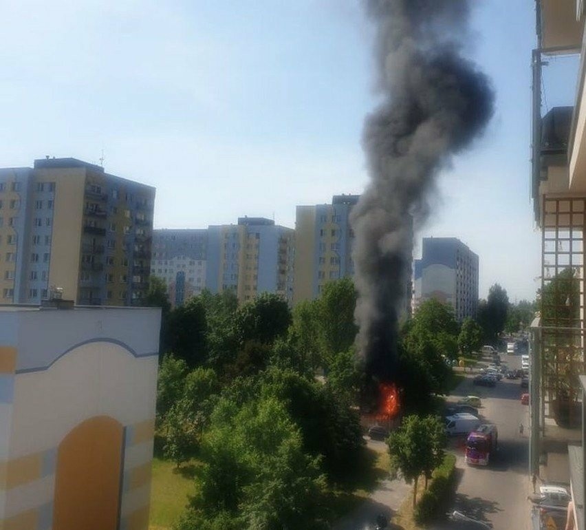 Pożar pergoli w czerwcu 2021 roku przy ul. Bartoka w Łodzi...