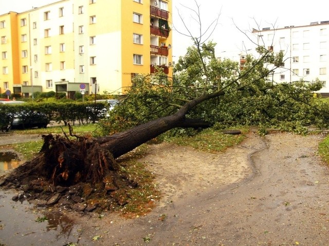 Szkody po burzy i gradobiciu w Namysłowie. Zdjęcia internauty Andrzeja Mazura przysłane na nto24