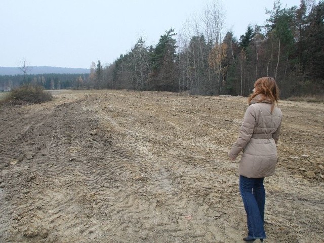 Tę działkę w Makoszynie, w gminie Bieliny, zaniepokojeni ludzie wskazują jako miejsce, gdzie zakopano niebezpieczne odpady.
