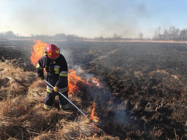 Strażacy ochotnicy z Jedlińska gasili pożary traw w Piastowie. Akcja rozpoczęła się o godzinie 18.40 w sobotę.